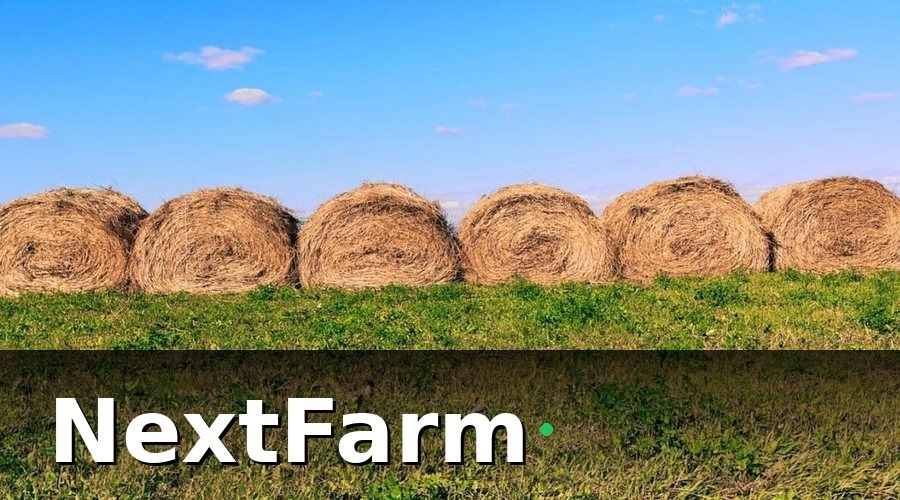 NextFarm — Template Kế Hoạch Canh Tác Theo Mùa Vụ (Có Thể Tải Về)