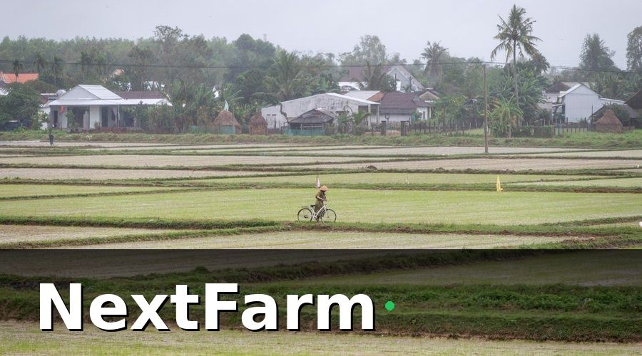 NextFarm — Thực Trạng Liên Kết Chuỗi Cung Ứng Nông Sản Tại Việt Nam