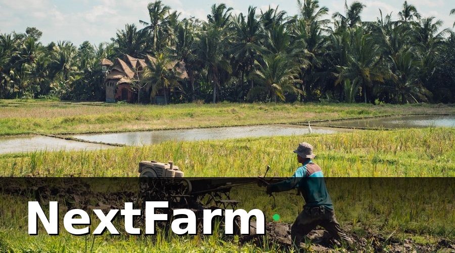 NextFarm — Hướng Dẫn Tạo Mã QR Cho Nông Sản Từng Bước