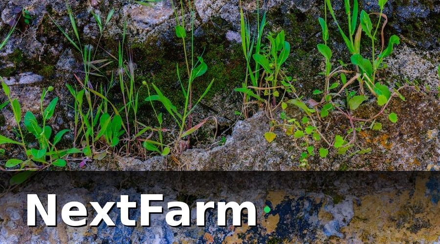 NextFarm — Những hạn chế khi dùng Excel quản lý dữ liệu đất