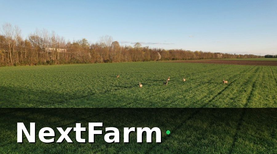 NextFarm — Lợi ích khi chuyển sang cảm biến đất nông nghiệp