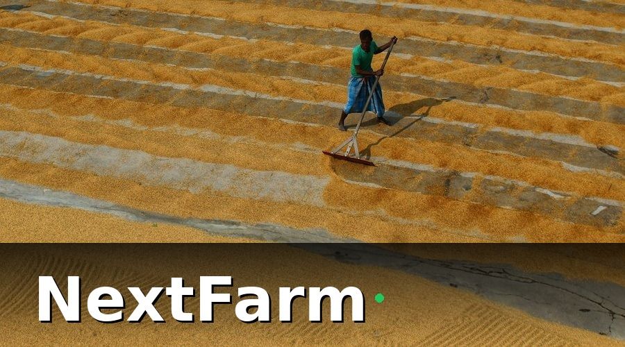 NextFarm — Các bước chuẩn bị trước khi migration