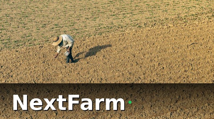 NextFarm — Tại sao Excel không còn phù hợp khi nông trại mở rộng