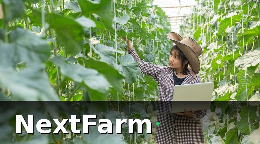 NextFarm — Giai đoạn 1: Kiểm kê và phân loại dữ liệu Excel hiện tại