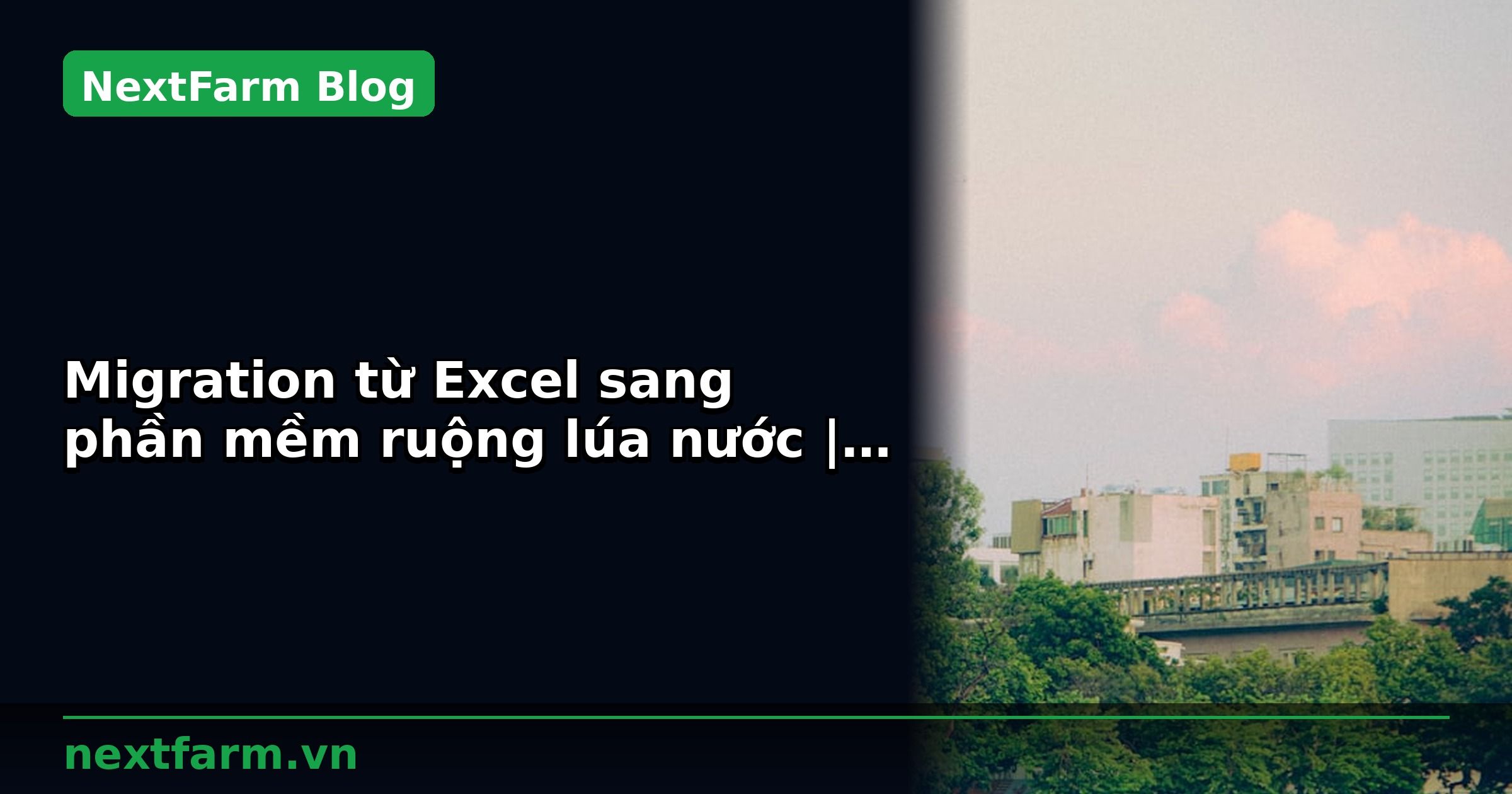 Migration từ Excel sang phần mềm ruộng lúa nước | NextFarm