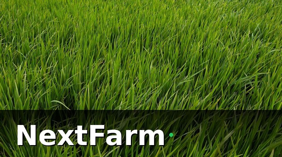 NextFarm — Trước khi migration: Chuẩn bị dữ liệu Excel cũ