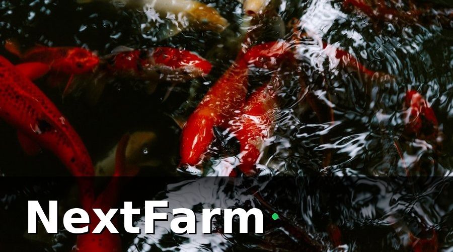 NextFarm — Bước 1 — Kiểm kê và làm sạch dữ liệu Excel hiện tại