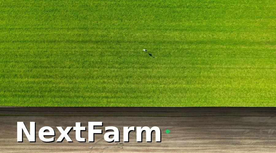NextFarm — Lợi ích khi chuyển sang phần mềm smart farming