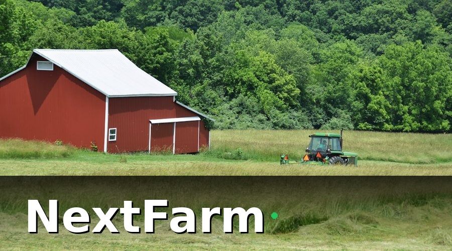 NextFarm — Vì sao Excel không đủ cho hệ thống thủy canh hiện đại?