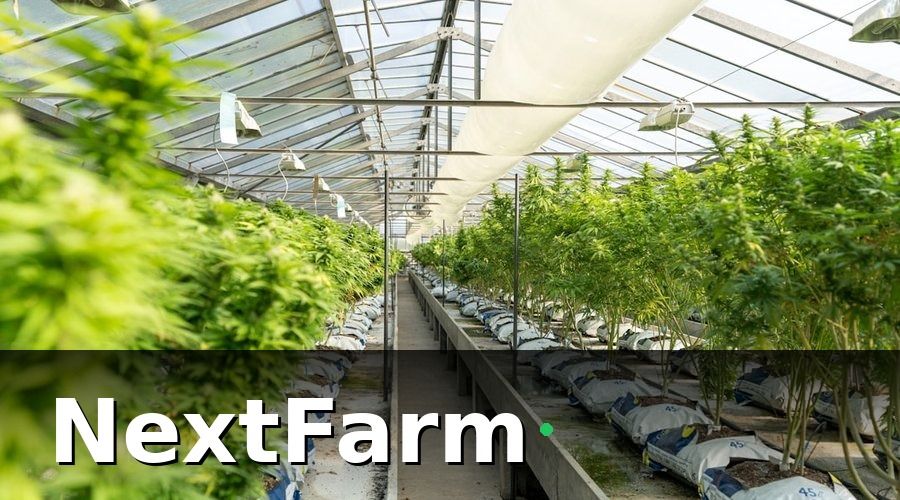 NextFarm — Bước 1 — Kiểm kê và chuẩn hóa dữ liệu Excel hiện tại