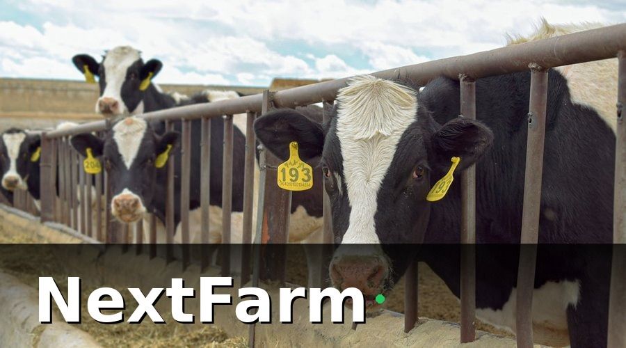 NextFarm — Chuẩn bị trước khi migration: kiểm kê dữ liệu Excel hiện có