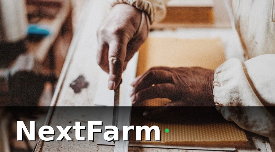 NextFarm — Chuẩn bị trước khi migration: Kiểm kê và làm sạch dữ liệu