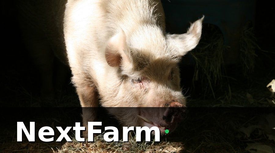 NextFarm — Chuẩn bị trước khi migration từ Excel
