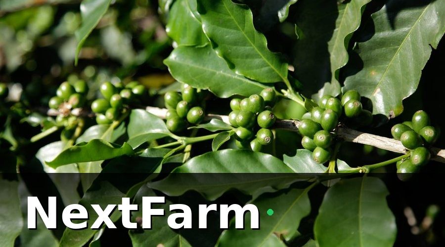 NextFarm — Chuẩn bị trước khi migration từ Excel