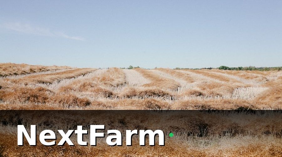 NextFarm — Chuẩn bị trước khi migration từ Excel