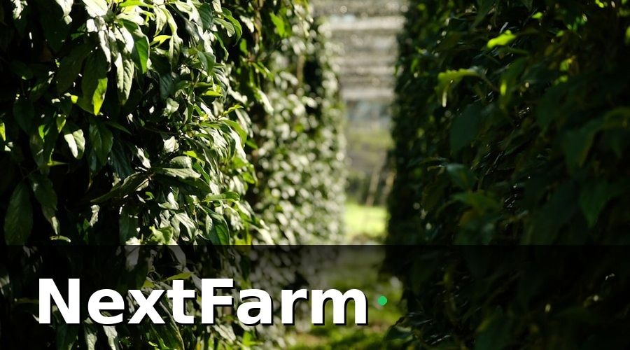NextFarm — Các bước migration từ Excel sang NextFarm