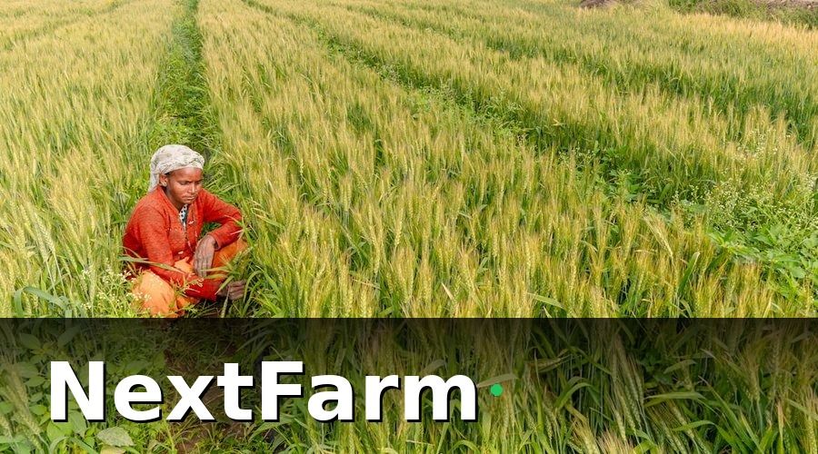 NextFarm — Yếu Tố Quyết Định Mô Hình Kinh Doanh Nào Phù Hợp Với Bạn