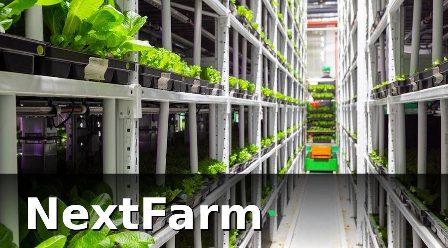NextFarm — Case Study Thực Tế: Các Mô Hình Nông Nghiệp Đang Hoạt Động Hiệu Quả