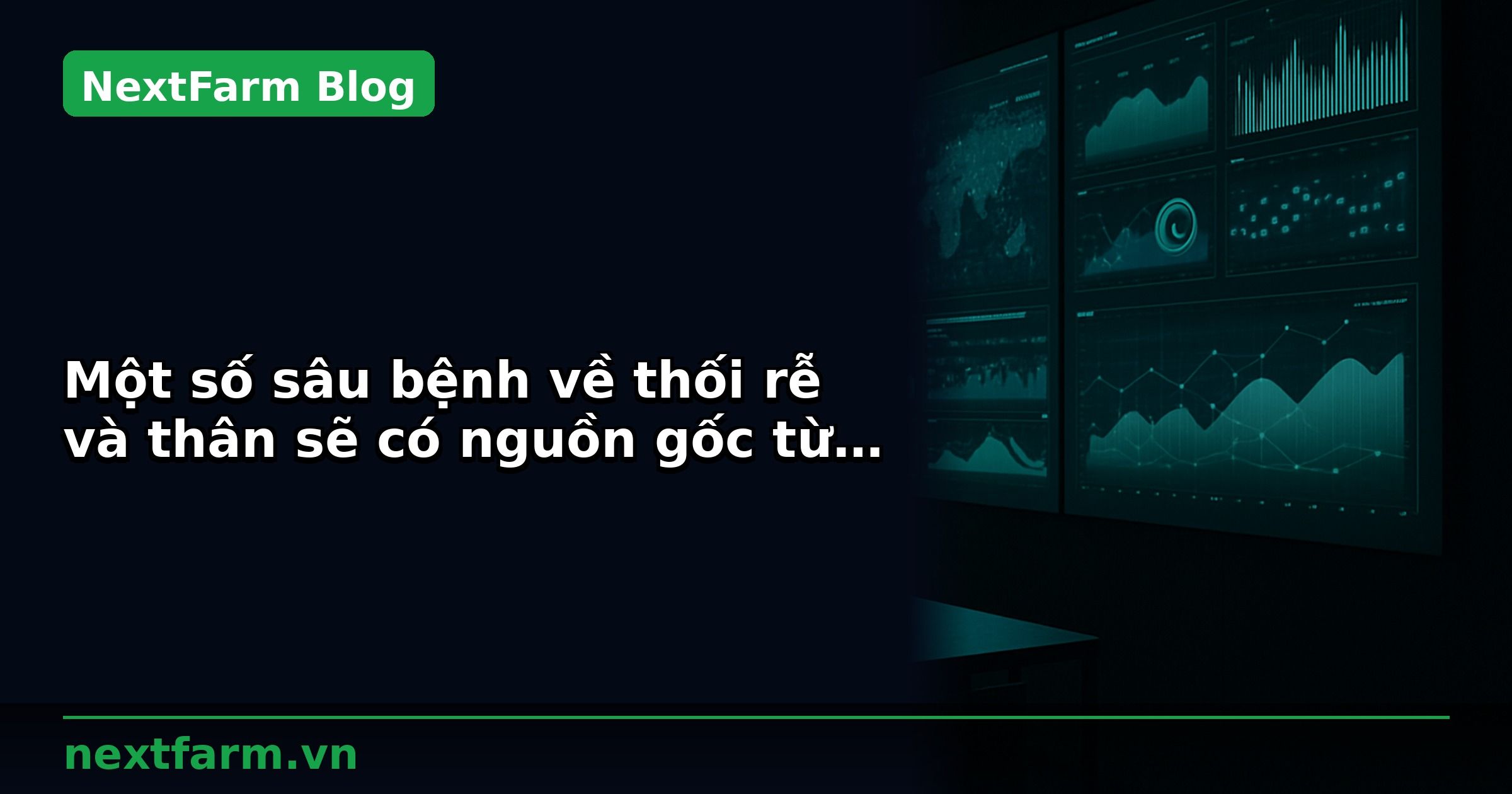 Một số sâu bệnh về thối rễ và thân sẽ có nguồn gốc từ đất