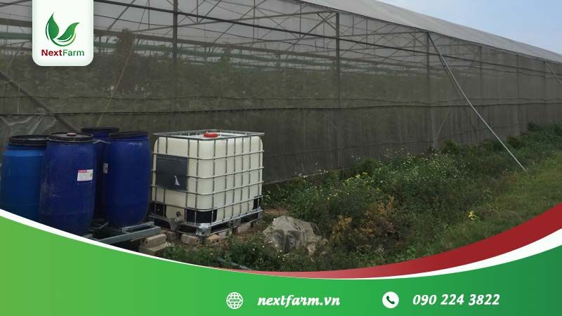 NextX triển khai giải pháp châm phân dinh dưỡng cây trồng tích hợp quan trắc khí tượng cho cà chua tự động bằng công nghệ học máy Machine Learning