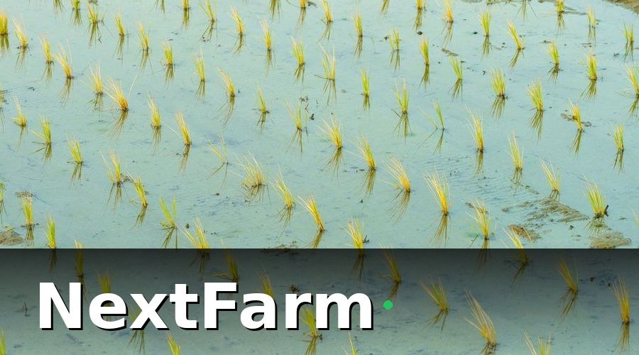 NextFarm — Bảo Hiểm Nông Nghiệp — 