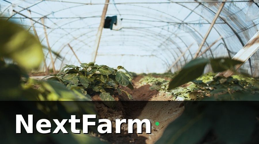NextFarm — Nhà Kính Thông Minh Là Gì?