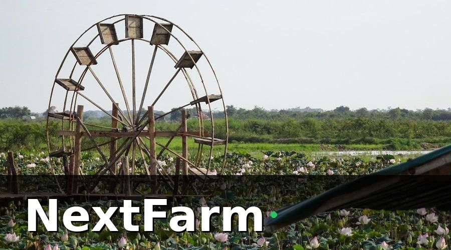 NextFarm — Tại Sao Nhà Kính Thông Minh Giúp Tiết Kiệm 30% Chi Phí?