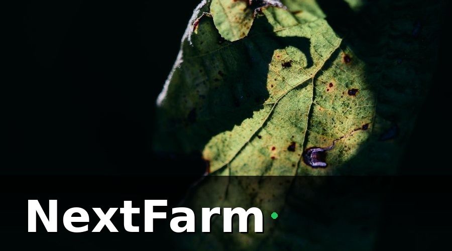 NextFarm — Nhận Diện Bệnh Cây Bằng Ảnh Hoạt Động Như Thế Nào?
