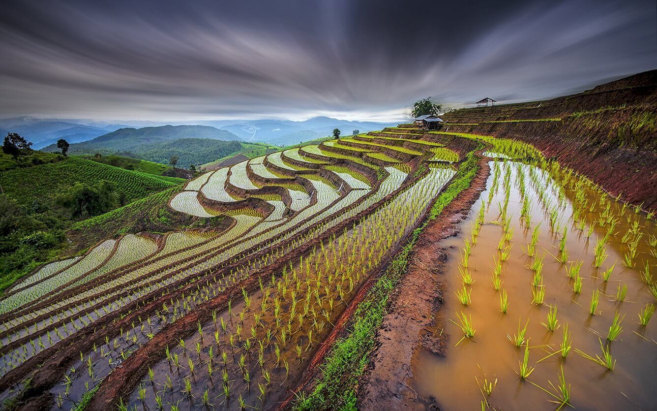 nong-nghiep-cong-nghe-cao