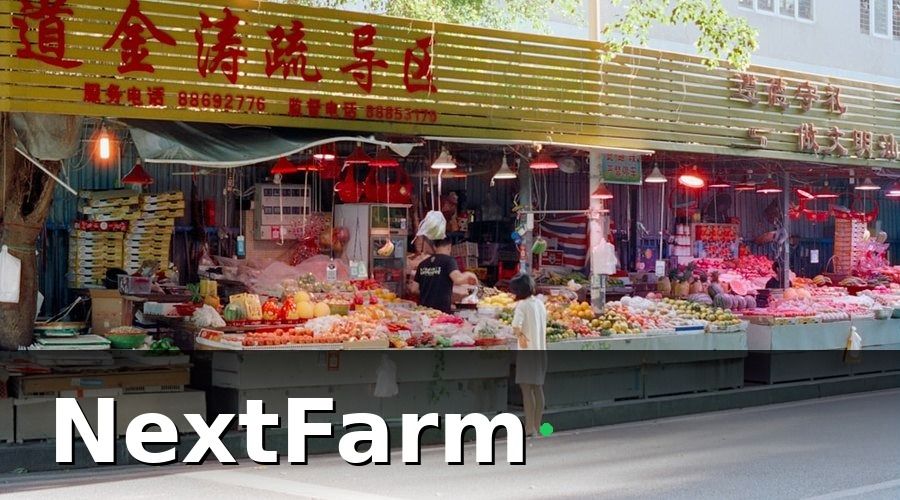 NextFarm — Thực Trạng Nông Nghiệp Đà Lạt: Giữa Tiềm Năng Và Áp Lực