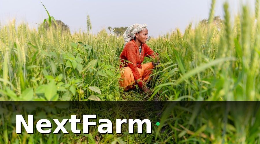 NextFarm — Công Nghệ Số Giúp Nông Nghiệp ĐBSCL Thích Ứng Thế Nào?