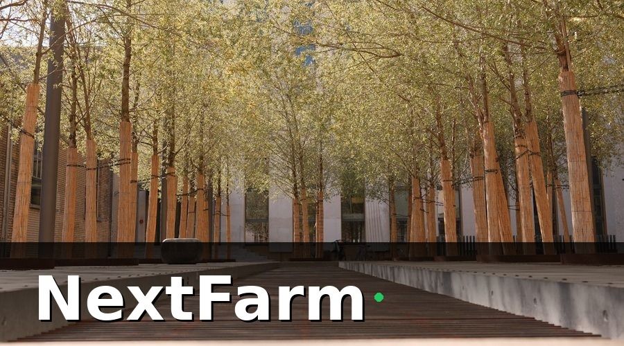 NextFarm — Nông Nghiệp Đô Thị Là Gì Và Tại Sao Đang Bùng Nổ?
