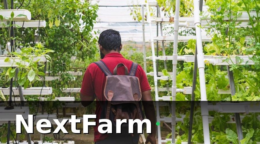 NextFarm — Các Mô Hình Nông Nghiệp Đô Thị Phổ Biến Tại Việt Nam