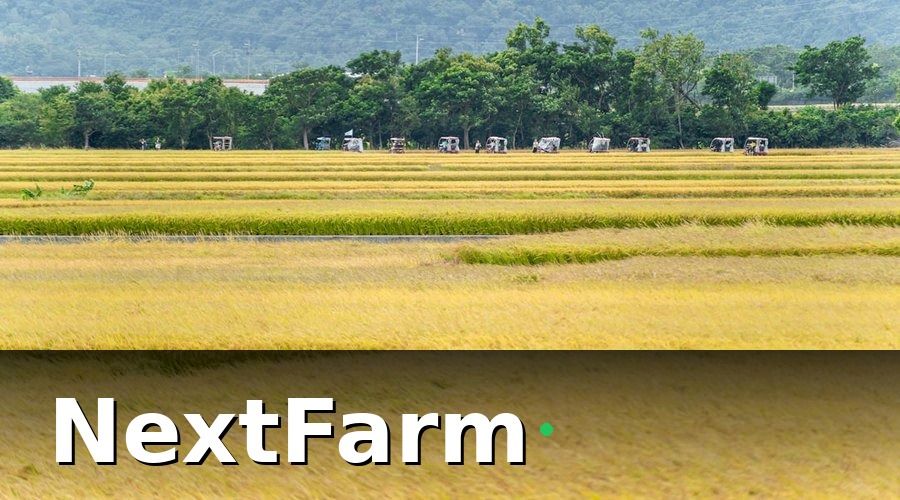NextFarm — Các Mô Hình Nông Nghiệp Hợp Đồng Phổ Biến
