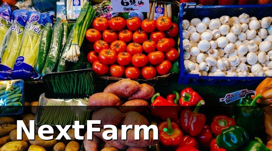NextFarm — Lợi Ích Của Nông Nghiệp Hợp Đồng