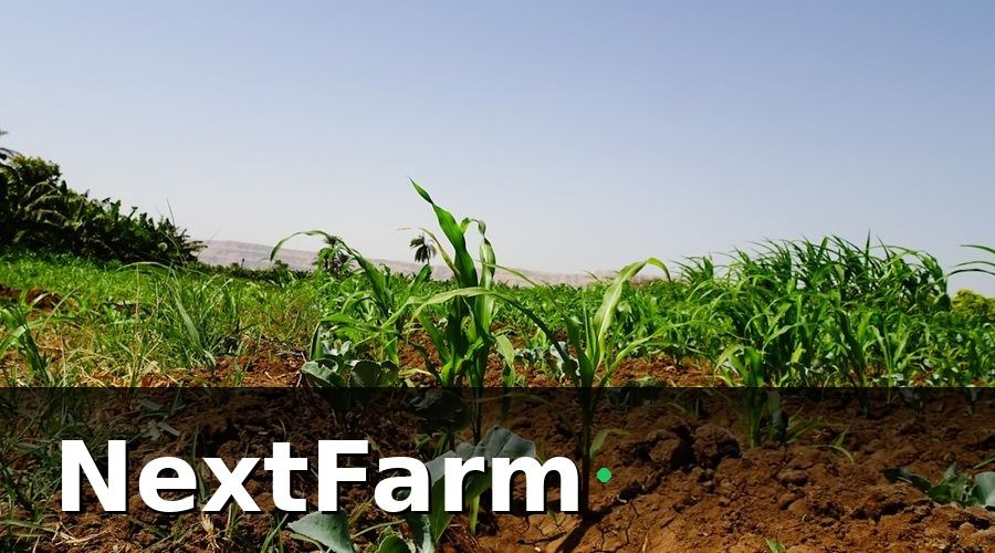 NextFarm — Các Tiêu Chuẩn Nông Nghiệp Hữu Cơ Phổ Biến Tại Việt Nam