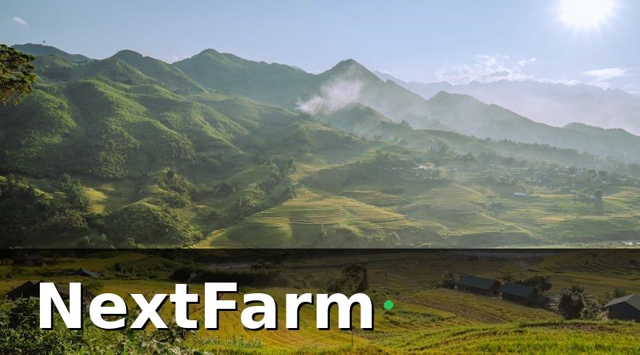 NextFarm — Bức Tranh Nông Nghiệp Miền Bắc: Tiềm Năng Lớn, Thách Thức Nhiều
