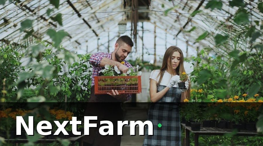 NextFarm — Rau Màu Miền Bắc — Cơ Hội Giá Trị Cao Nếu Làm Đúng