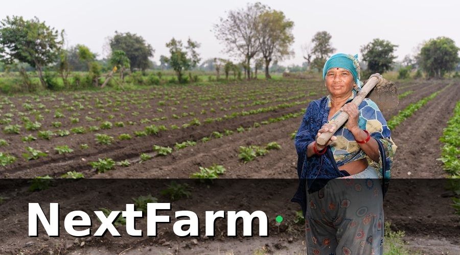 NextFarm — Nông Nghiệp Minh Bạch Là Gì — Và Tại Sao Nó Quan Trọng Đến Vậy?
