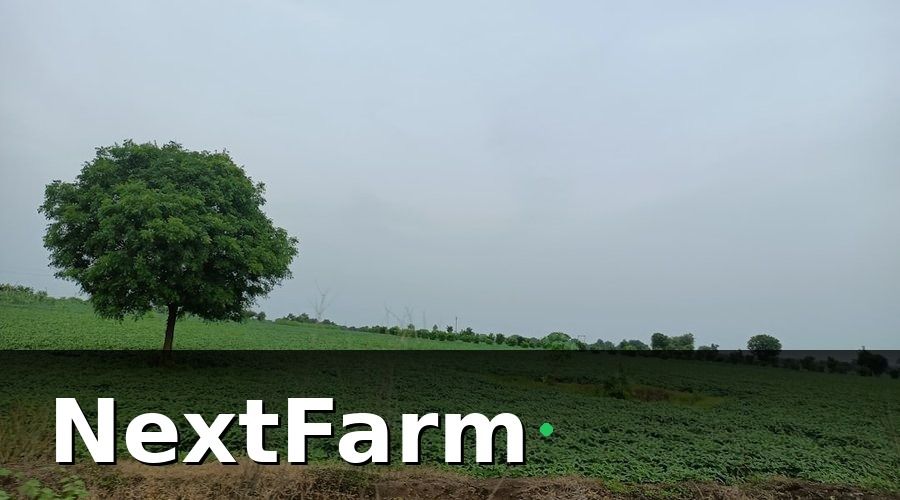 NextFarm — Nông Nghiệp Sinh Thái Là Gì?