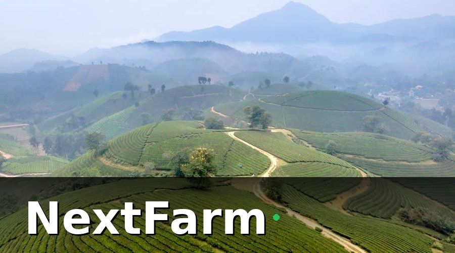 NextFarm — Tây Nguyên — Vùng Nông Nghiệp Chiến Lược Của Việt Nam