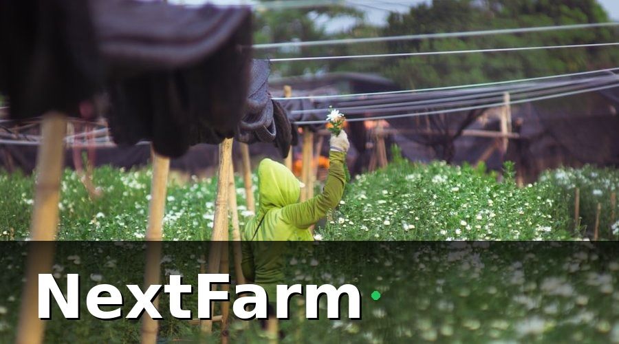 NextFarm — Các Dự Án Nông Nghiệp Thông Minh Tiêu Biểu Tại Việt Nam