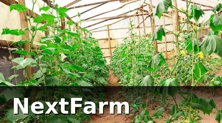 NextFarm — Vai Trò Công Nghệ Trong Nông Nghiệp Việt Nam