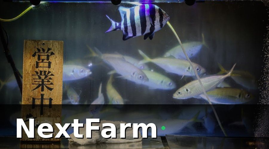 NextFarm — Các Thông Số Môi Trường Cần Giám Sát Liên Tục