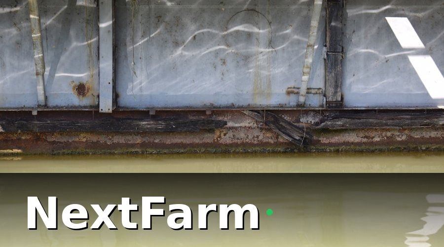 NextFarm — 2. Bước 1 — Chuẩn Bị Ao Và Chọn Giống Đúng Chuẩn