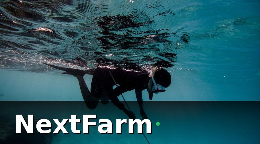 NextFarm — Bước 2: Lắp Đặt Cảm Biến IoT Giám Sát Ao Nuôi Cua