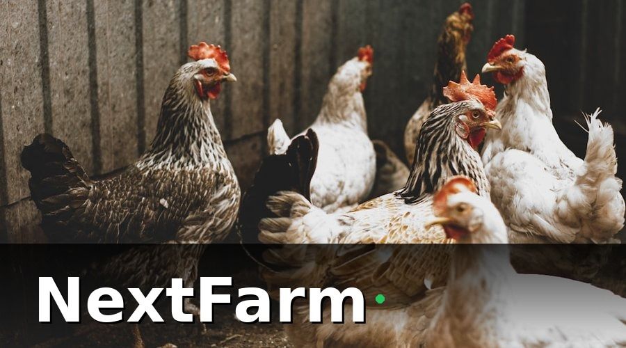 NextFarm — 2. Thiết Kế Chuồng Trại Đúng Kỹ Thuật