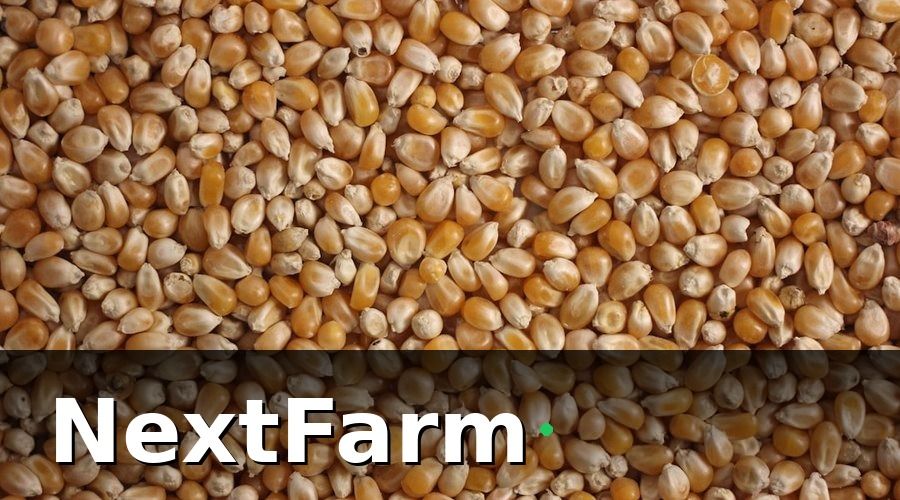 NextFarm — 3. Dinh Dưỡng Và Chế Độ Cho Ăn Theo Giai Đoạn
