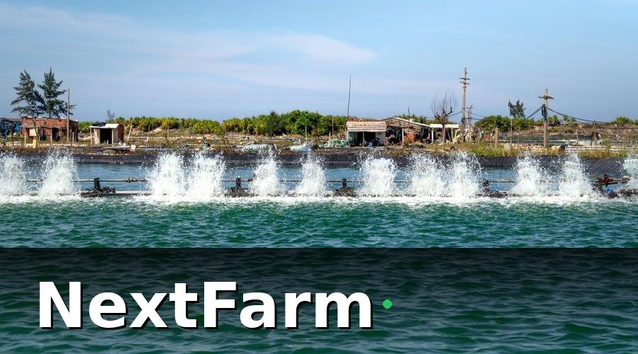 NextFarm — Nuôi Tôm Công Nghệ Cao Là Gì?