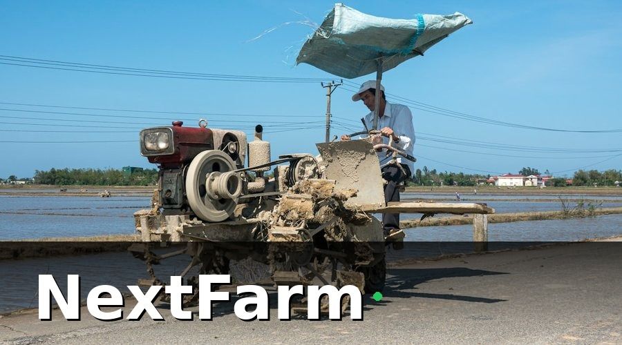 NextFarm — Vì Sao Nuôi Tôm Truyền Thống Ngày Càng Khó Thắng?